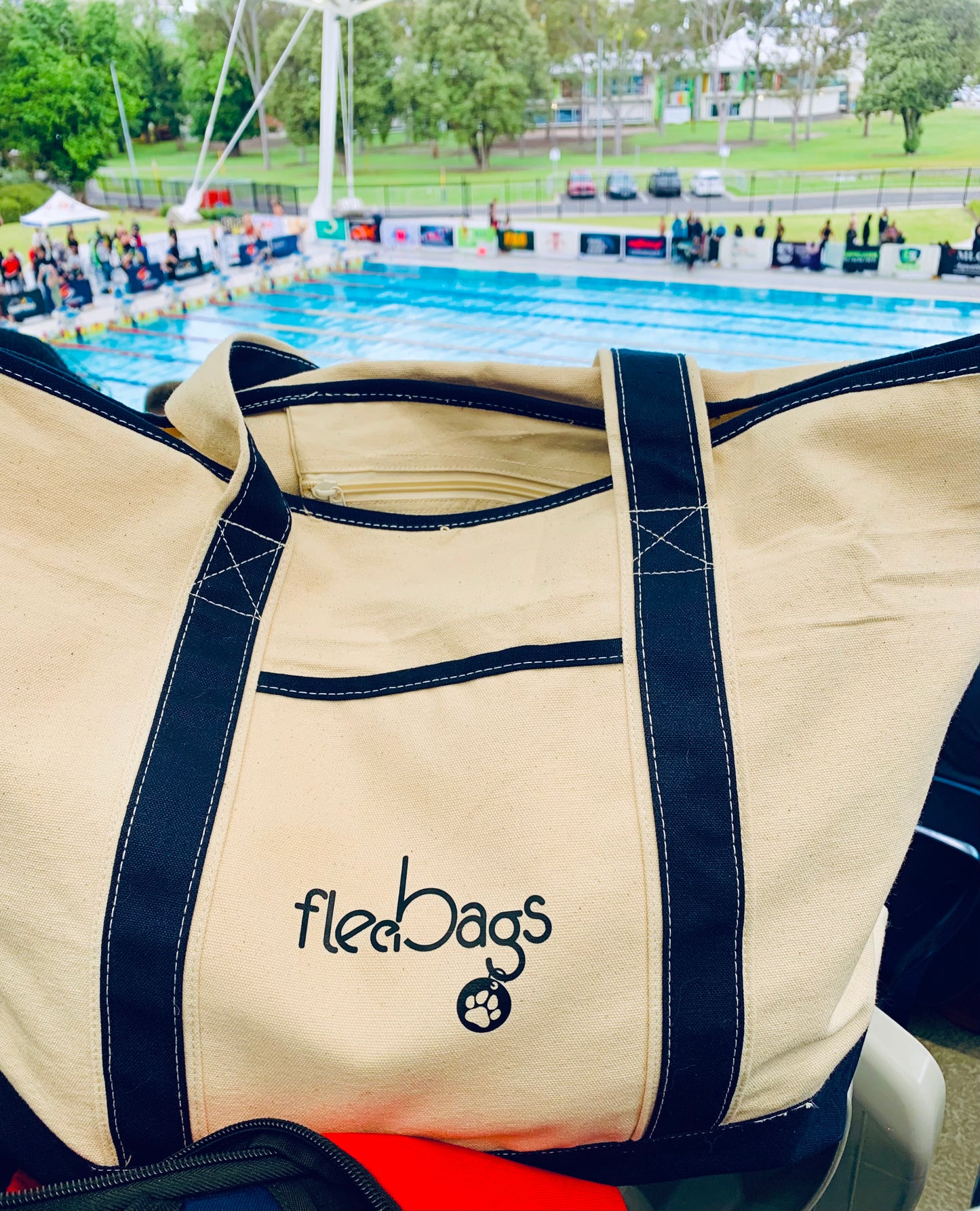 Canvas tote ('Fleebags' original)